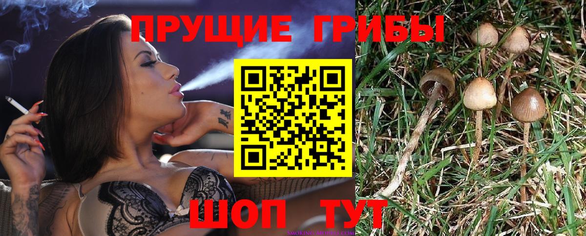Галлюциногенные грибы мухоморы Тулун