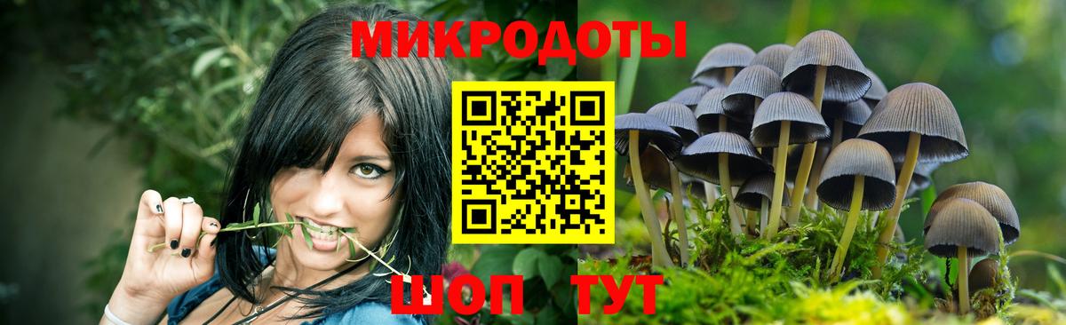 Псилоцибиновые грибы мицелий  Вход с VPN  Тулун 